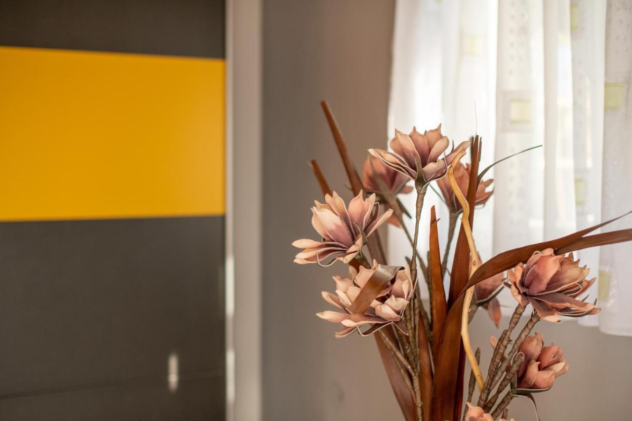 Apartmán House Boris Loborika Exteriér fotografie